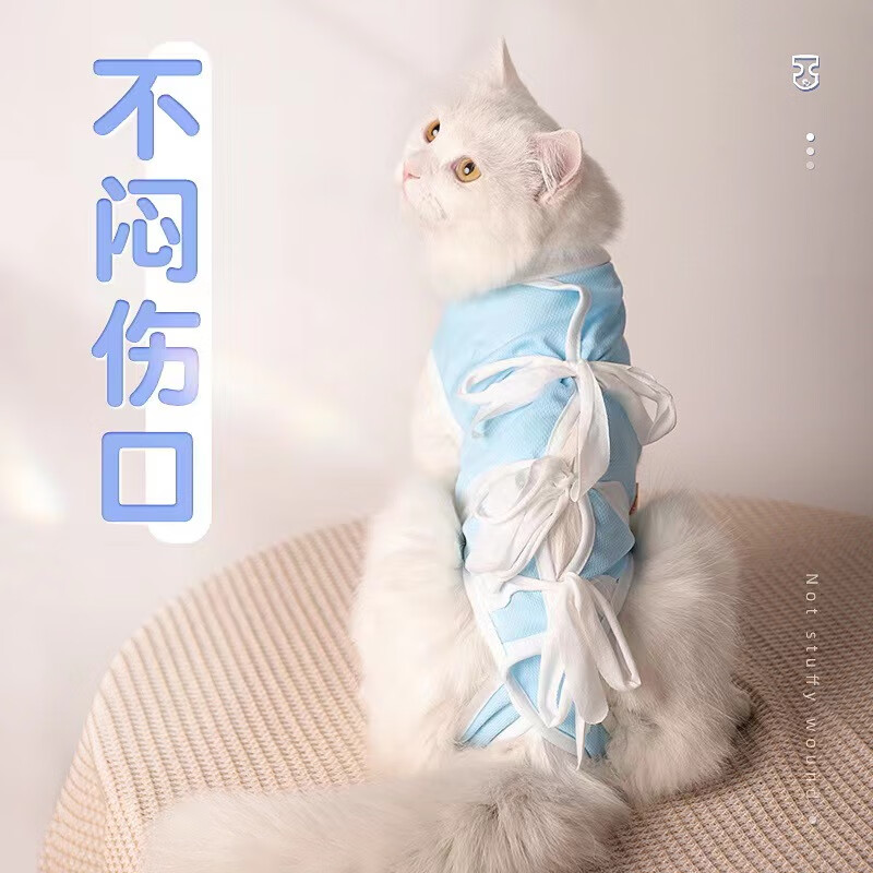 优宠君 猫咪绝育服母猫手术服衣服透气戒奶服断奶服公猫防舔术后恢复服M 