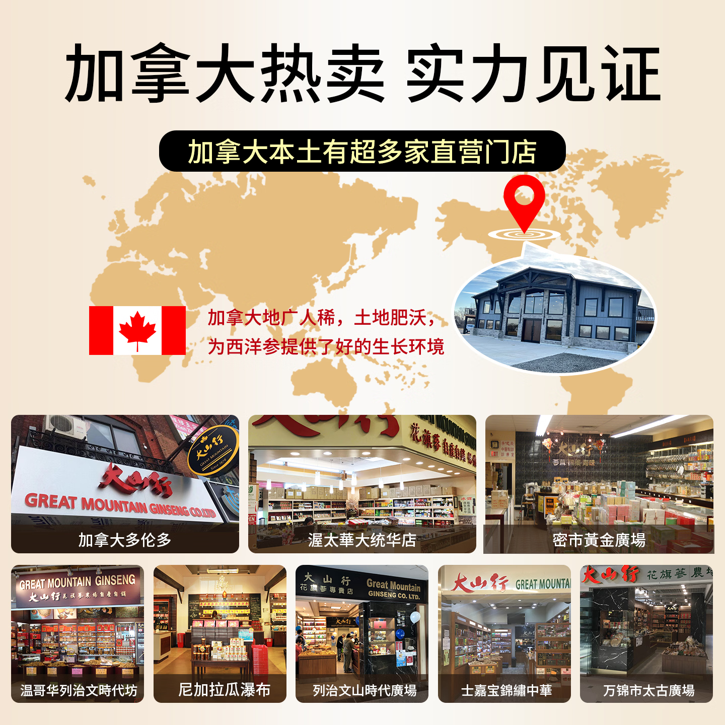 大山行 西洋参整支 227g*1盒 礼盒装 279元 - 线报酷
