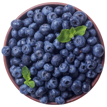 京丰味 蓝莓水果 国产新鲜大蓝莓 整箱1斤装 中大果 约12-16mm ￥21.9