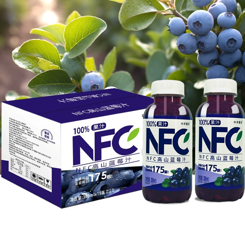 0脂肪无负担！Hidolly 百多利 椰小帽 NFC高山桑葚汁 300ml*6瓶 ￥14.9