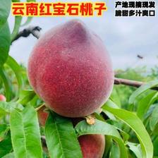 风之郁 云南新鲜红宝石桃子 水蜜桃 3斤 29元（需用券）