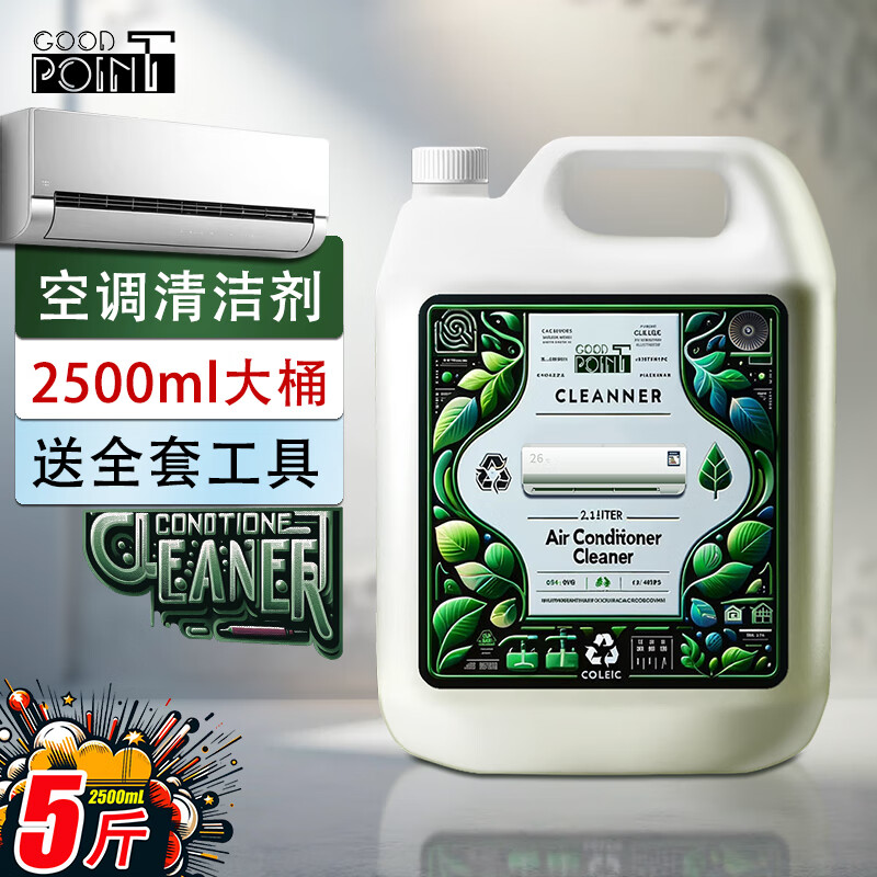 GOOD POINT 空调清洗剂2500ml 家用杀菌免拆洗空调清洁剂除菌挂壁用大桶装 24.9