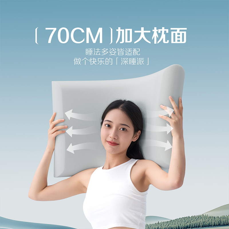 百丽丝 深睡记忆枕 42x70x8cm 慢回弹记忆棉 礼盒装 94元（需用券）