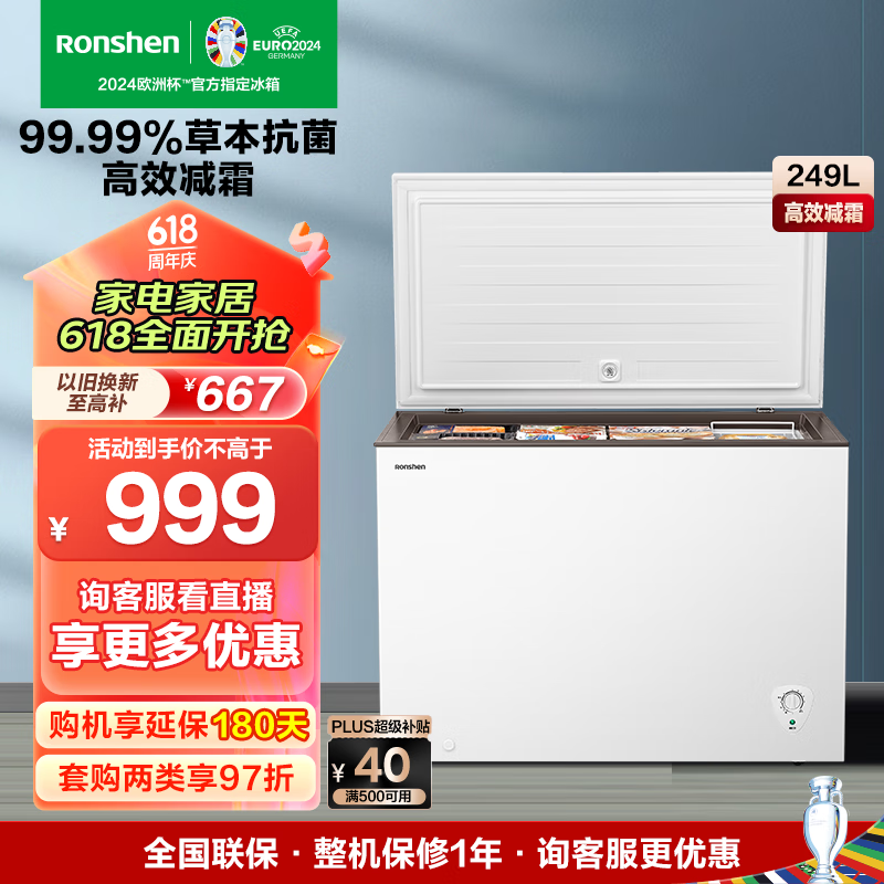 Ronshen 容声 249升减霜冰柜家商两用冷藏冷冻转换单温一级能效节能省电静音