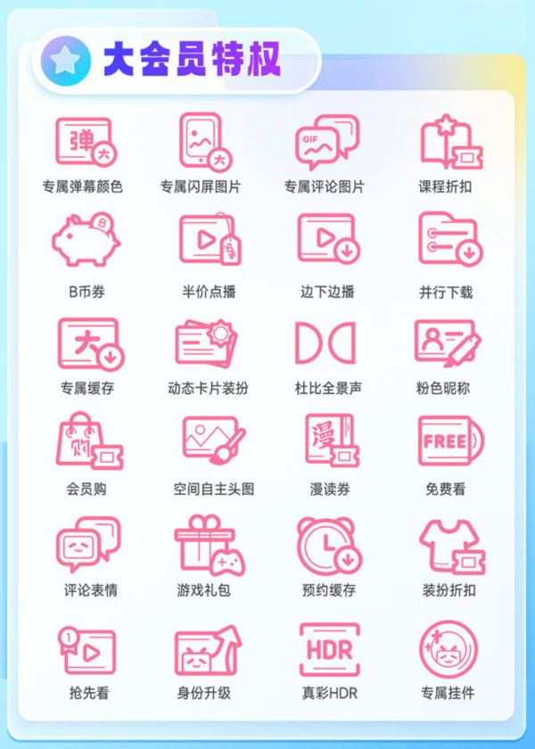 bilibili 哔哩哔哩 电视端大会员年卡 支持电视端