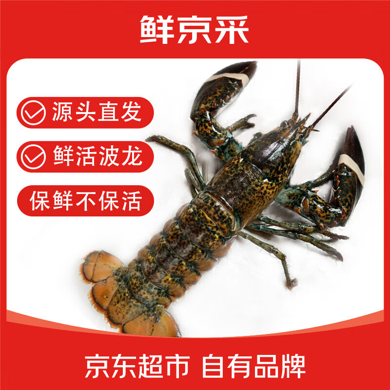移動端、京東百億補貼：wecook 味庫海鮮 加拿大大龍蝦 400-500g 69元
