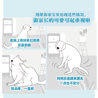 皇家 狗粮成犬皮肤全价处方粮通用SK23/2KG单小包 254.6元 - 86线报 皇家 狗粮成犬皮肤全价处方粮通用SK23/2KG单小包 254.6元 - 86线报