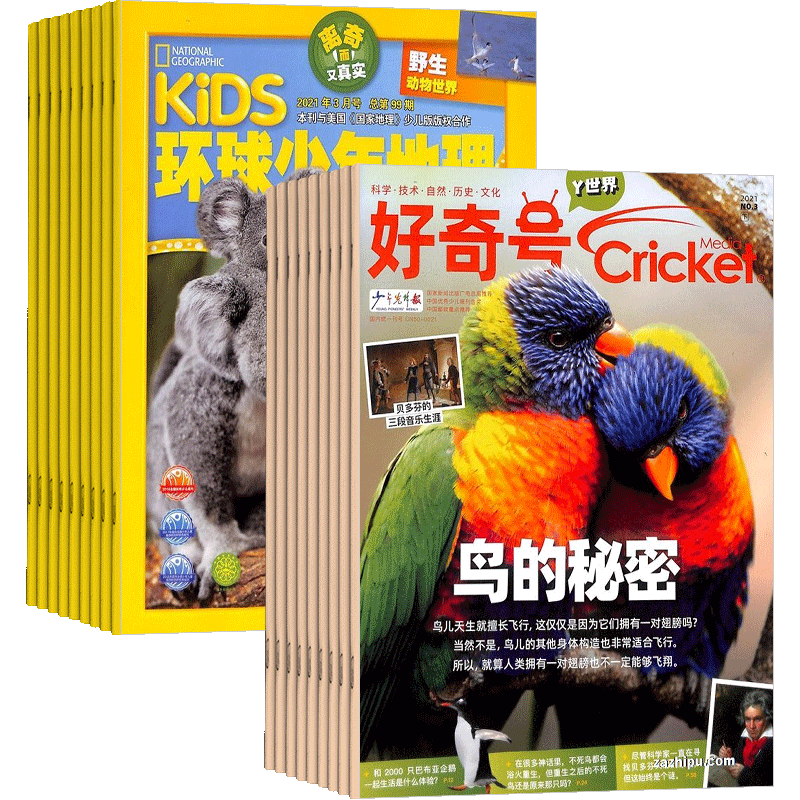 好奇号 环球少年地理杂志组合 2024年1月起订阅 组合共24期 杂志铺杂志订阅 3