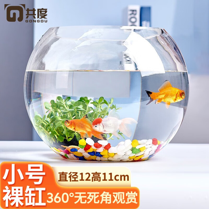 Gong Du 共度 桌面小鱼缸 圆形金鱼缸养鱼缸生态鱼缸 玻璃客厅家用办公室乌