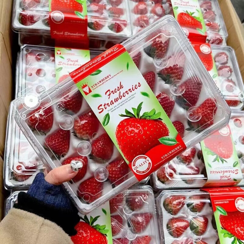 京世泽 草莓特价9.97/盒 源头直发4盒装（净重300克/盒以上）粒数随机 39.9元