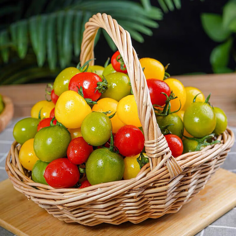 PLUS会员、百亿补贴：京地达 栗贝诺山东圣女果三色番茄组合 水果小番茄 净