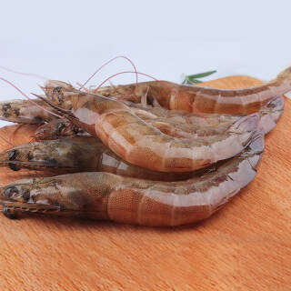 仙泉湖国产活冻珠海基围虾400g3035只袋生冻南美白虾对虾火锅烧烤食材