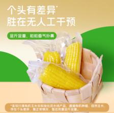 SHENGMU SINCE 圣牧源选 有机糯玉米 1.76kg约8-10棒 ￥35.2