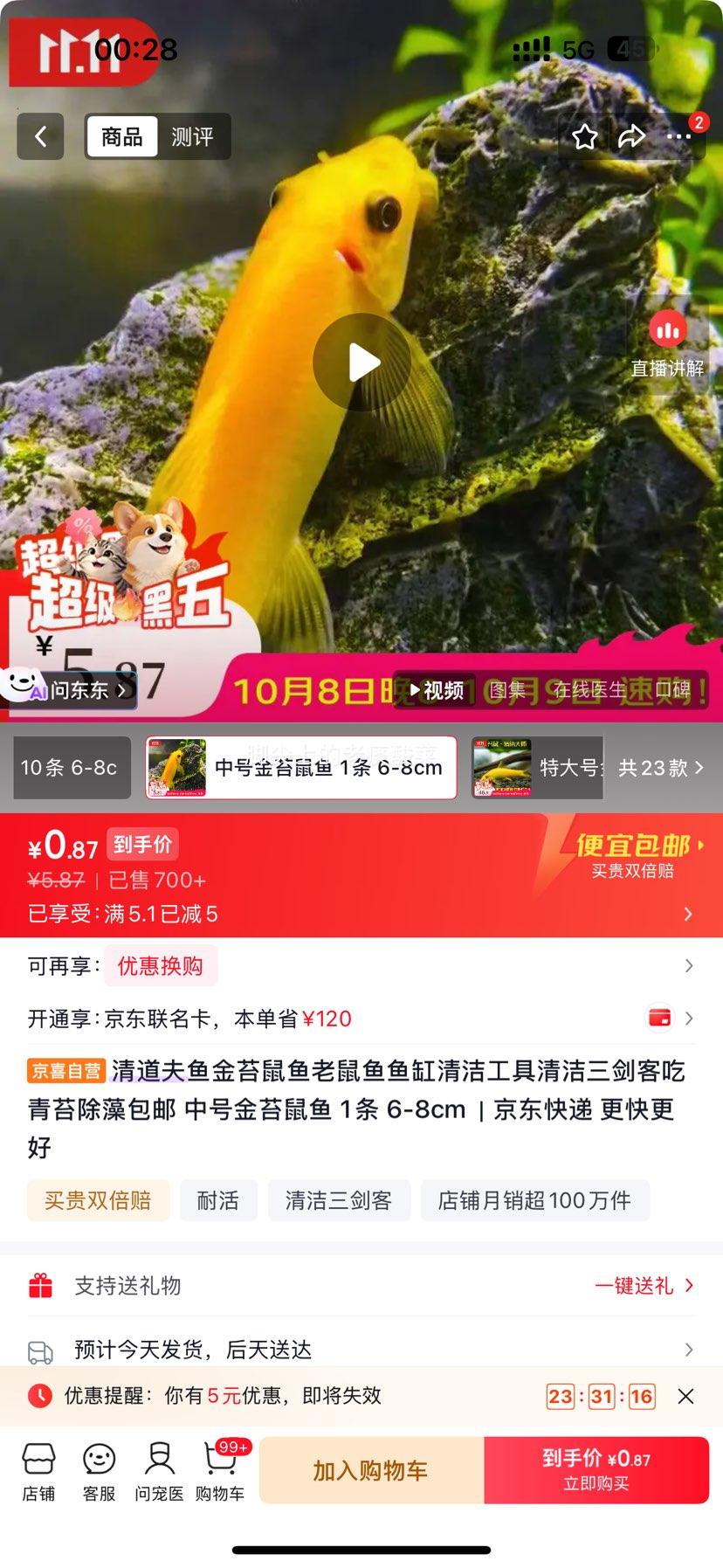 清道夫鱼 金苔鼠鱼 中号 6-8cm 0.87元 包邮 - 线报酷