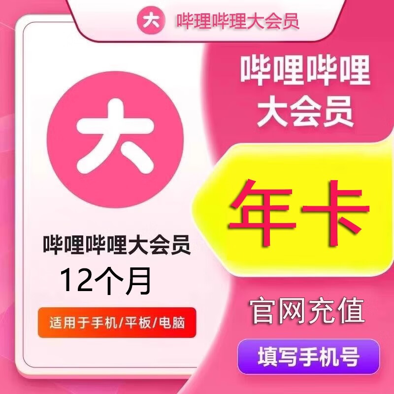 哔哩哔哩 bilibili 大会员1年12个月bili毕里毕里大会员B站哔哩哔哩vip年卡 哔哩