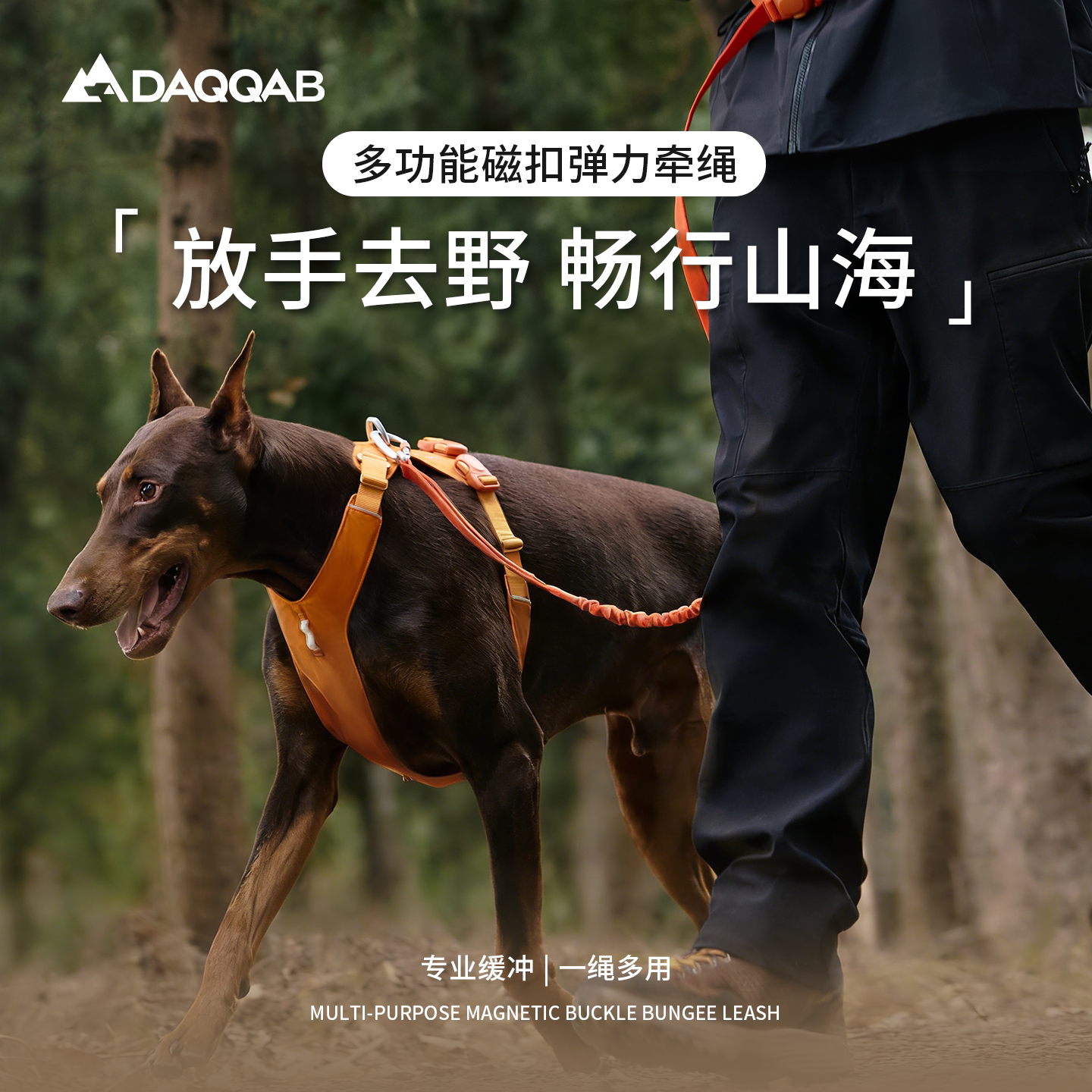 DAQQAB 德克泊 多功能磁扣弹力牵绳 防爆冲弹性缓冲宠物腰牵牵引绳 249元 - 线报酷