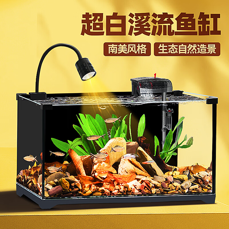 爬将军 超白玻璃鱼缸南美溪流缸家用小型客厅造景斗鱼金桌面生态乌龟缸 22