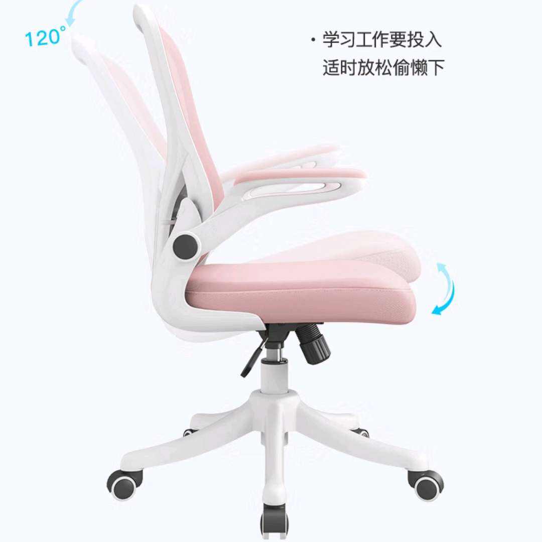 习格 （XIGE）家用电脑椅 人体工学椅办公椅转椅 931 195.57元