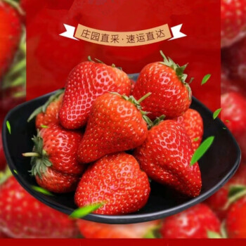 开春福利 10000箱 红颜99草莓 1.5斤装 单果30g+ ￥15.5