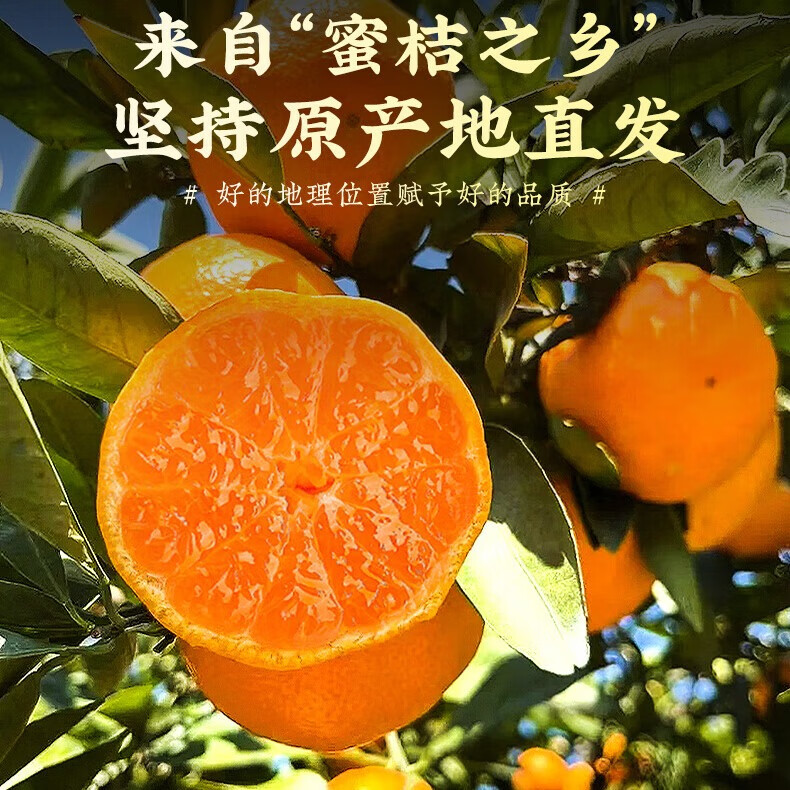 京觅 浙江台州涌泉蜜桔 净重5斤 单果50mm+ 橘子桔子水果礼盒 源头直发 39.8元 - 86线报