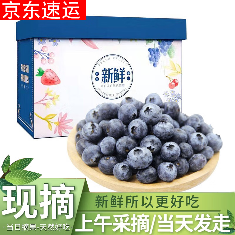 共雅 言果纪 蓝莓 125g/6盒 果径12-14mm （不用券实付） 31.3元（需买2件，共62.6