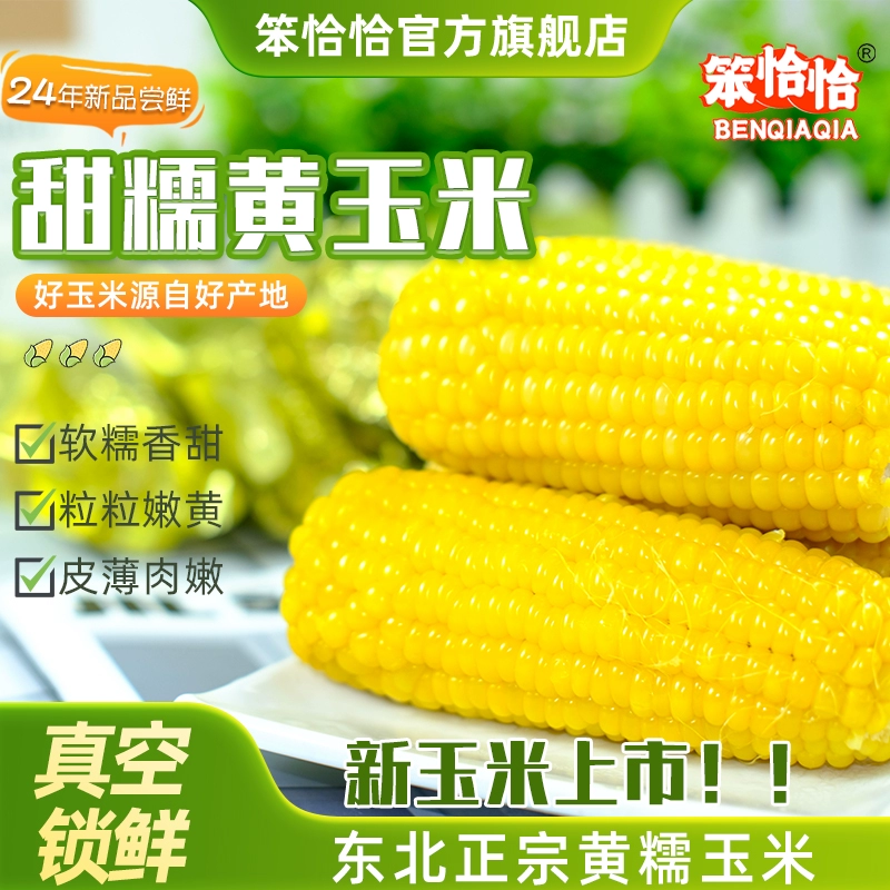 笨恰恰 东北黄糯玉米250g*8根 ￥11.9