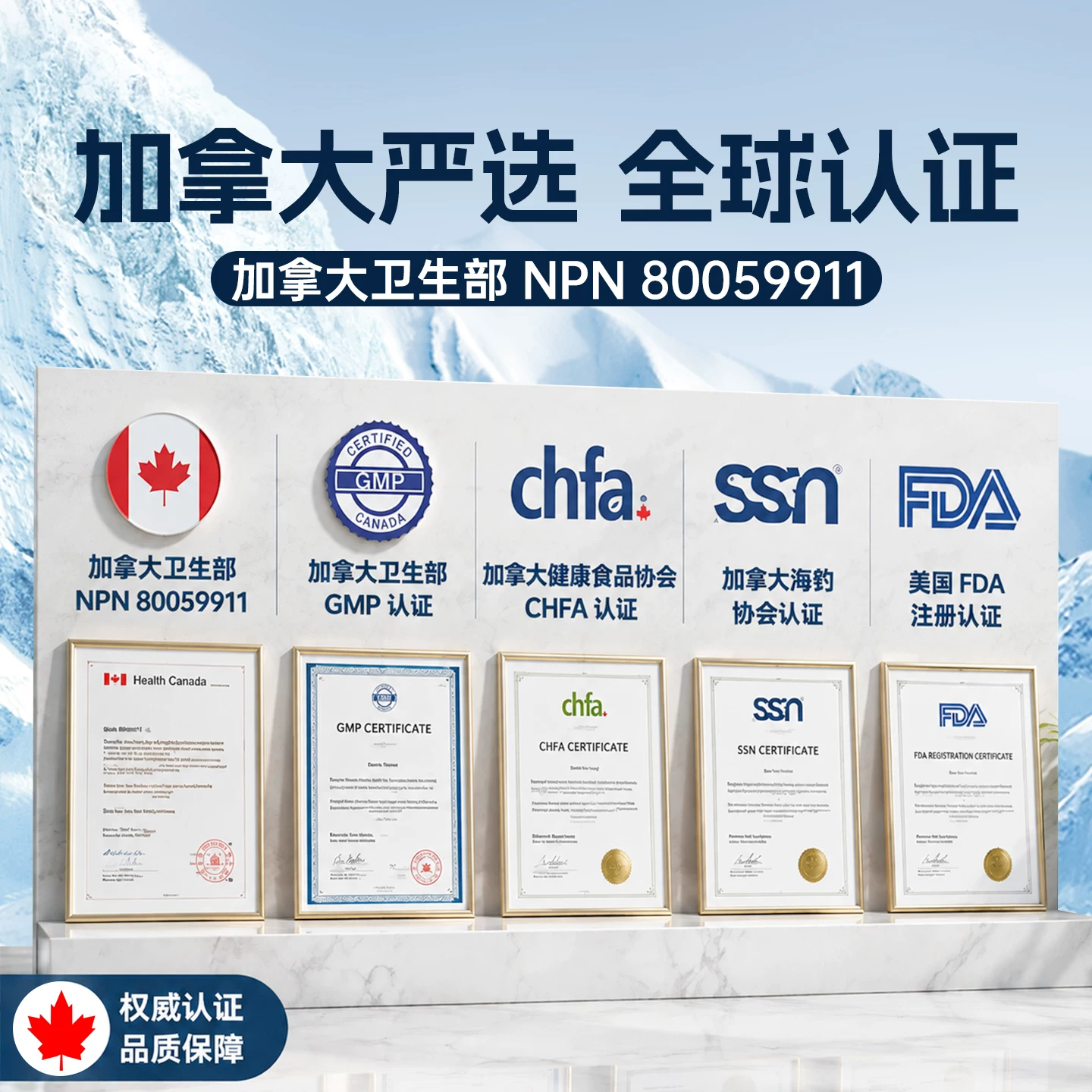 CANBANTING班廷爵士Omega3海豹油中老年护心脑血管进口DPA非鱼油 233元 - 线报酷